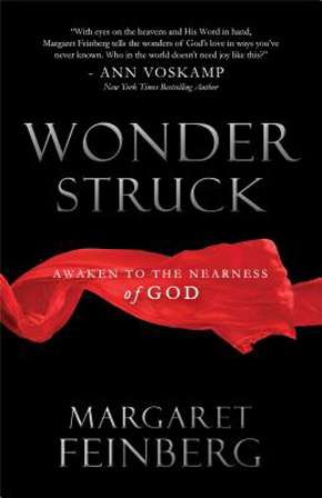 Wonderstruck by Margaret Feinberg