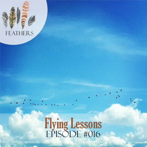 Flying-Lessons
